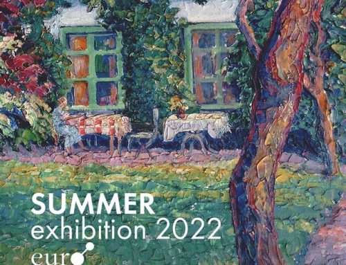 euroart in het Noord-Veluws Museum